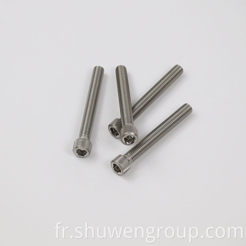 Stainless Steel Screw